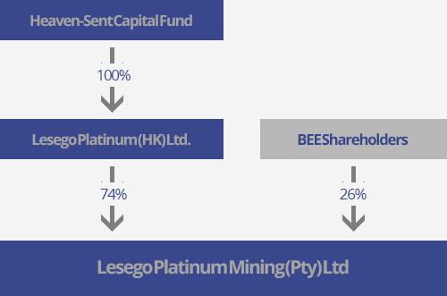 Company Structure